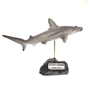 アオザメ　フィギュア Amazon.co.jp: CollectA (コレクタ) アオザメ サメ フィギュア 88679