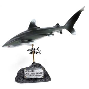 ヨゴレザメ　フィギュア　Oceanic whitetip shark（フィッシュカービング）※受注生産6ヵ月待ち（代引き不可）｜kaiyokobo