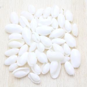 貝殻詰め合わせセット（ケース付き）貝殻 約450g パーツ ハンドメイド