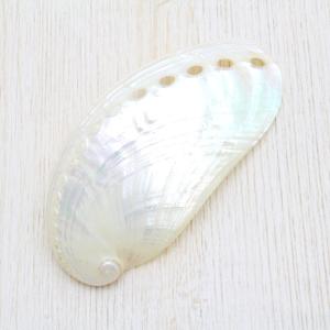 ホラ貝M（法螺貝） 貝殻 ホラガイ インテリア 約28〜30cm : 海洋工房