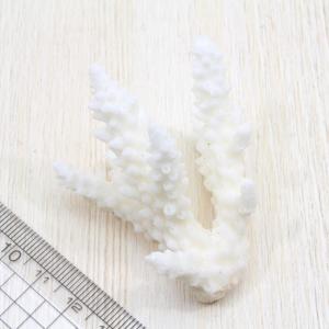 貝殻 サンゴのかけら Mサイズ 約5〜8cm ...の詳細画像2