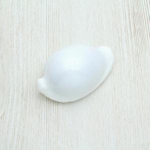 クジャクアワビ Lサイズ 貝殻 約14〜15cm インテリア 標本 ※修復箇所