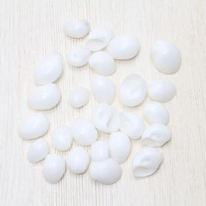 貝殻詰め合わせセット（ケース付き）貝殻 約450g パーツ ハンドメイド