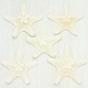 ヒレジャコガイ Lサイズ 貝殻 約14〜16cm ヒレシャコガイ インテリア