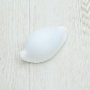 テンシノツバサガイ（天使の翼貝） 貝殻 約10〜12cm 1ペア インテリア