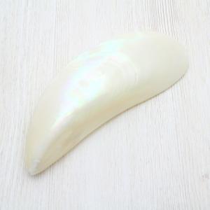 天然 オウムガイ 貝殻 2点セット 16cm 12cm 標本 インテリア オウムガイ Lサイズ 貝殻 約16〜18cm インテリア 工芸品