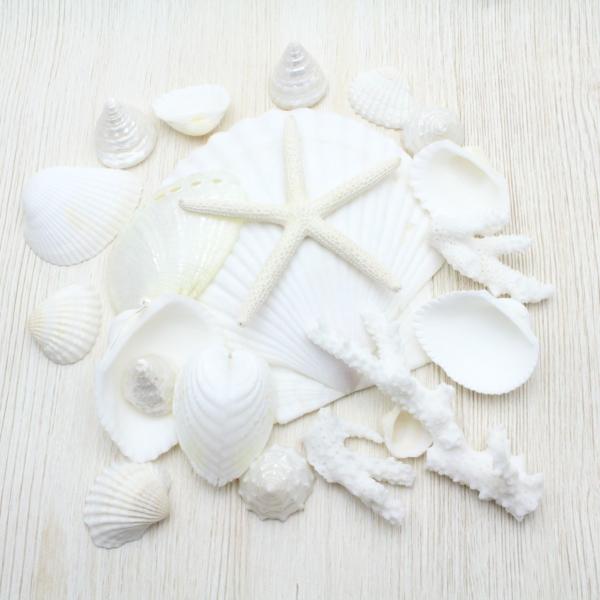ホワイトウェディングシェル　貝殻　セット　ブライダル　ウェルカムボード　フォトフレーム　シェルパーツ...