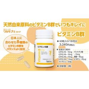 外食に気を使うの疲れた！ ビタミンB群（６０粒）日本人に合わせた処方設計  天然由来(酵母由来・植物...