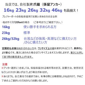 係留アンカー 常設アンカー 片爪錨 32kg ...の詳細画像5