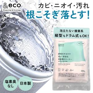 ＆eco 洗濯槽クリーナー 250g（1回分） 洗濯槽 洗濯槽洗剤 洗剤 洗浄 浴槽 風呂釜 クリーナー 防カビ 酸素系 消臭 除菌 粉 無添加 エコ