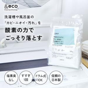 &eco 洗濯槽クリーナー 250g(1回分)...の詳細画像1