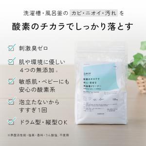 &eco 洗濯槽クリーナー 250g(1回分)...の詳細画像4