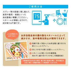 除菌習慣75 アルコール 除菌 消毒 一斗缶 ...の詳細画像5
