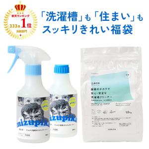 &eco 大掃除セット 水ピカ 300ml本体＋詰替＋風呂釜洗濯槽クリーナー 除菌 消臭 油汚れ ドラム式