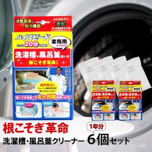 根こそぎ革命 6個セット 洗濯槽 クリーナー カビ取り 宮崎化学 風呂釜 掃除 液体洗剤 洗濯機 ドラム式 全自動洗濯機 洗浄剤 ランドリー
