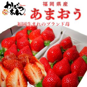 福岡県産 いちご あまおう 甘くて濃厚な味のブランド苺