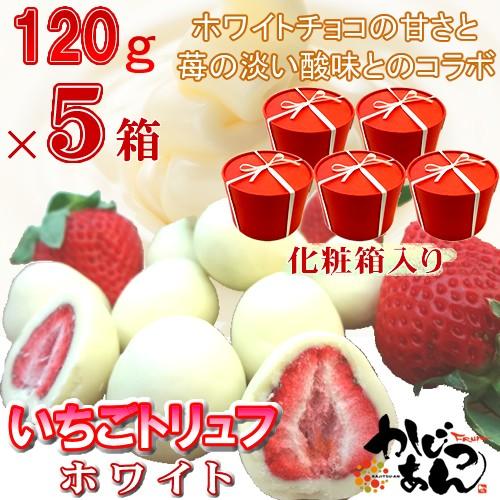 母の日 いちごトリュフ ホワイト　120ｇ ×５箱　フリーズドライ苺をホワイトチョコレートでコーティ...