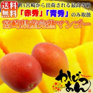 宮崎県産完熟マンゴー 2個入り 宮崎マンゴーの中で最高等級...