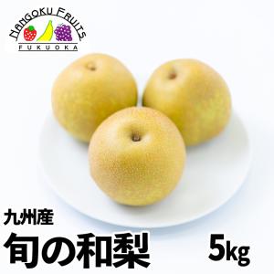 梅寄性 (バイキセイ) 梅寄生 さるのこしかけ 500g 日本産 漢方薬