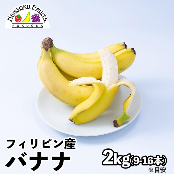 フィリピン産バナナ 約2kg