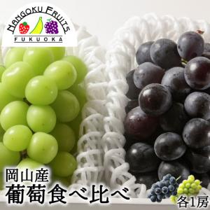 岡山産 ぶどう食べ比べ2種 シャインマスカット ピオーネ 各1房 ギフト 御中元 御祝 贈り物 ぶどう 葡萄 ブドウ 予約商品
