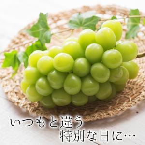 岡山産 ぶどう食べ比べ2種 シャインマスカット...の詳細画像1