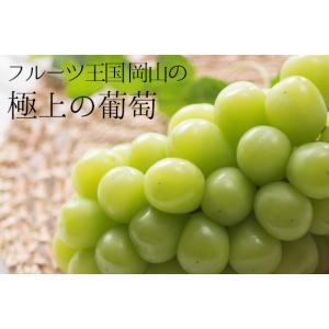岡山産 ぶどう食べ比べ2種 シャインマスカット...の詳細画像5