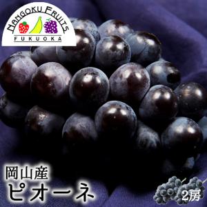 岡山産ピオーネ2房 ギフト 贈答 御中元 御祝 ...の商品画像