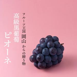 岡山産ピオーネ2房 ギフト 贈答 御中元 御祝...の詳細画像1