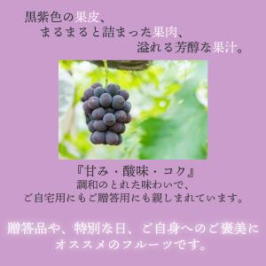 岡山産ピオーネ2房 ギフト 贈答 御中元 御祝...の詳細画像4