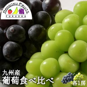 九州産 シャインマスカット＆ピオーネ 各１房 ギフト 御中元 御祝 贈り物 ぶどう 葡萄 ブドウ