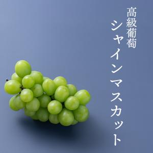 九州産 シャインマスカット&ピオーネ 各1房 ...の詳細画像2