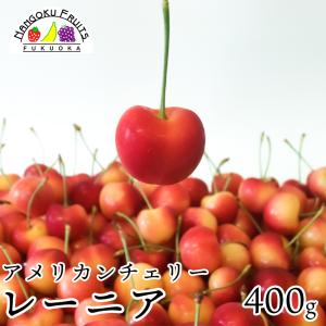 レーニア（アメリカンチェリー） 約400ｇ 贈り物 ギフト さくらんぼ 御中元 御祝い 御礼 予約