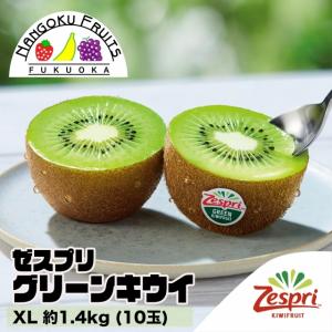 ニュージーランド産 ゼスプリ グリーンキウイ M 約1kg(10玉) ギフト