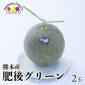 ニュージーランド産ゼスプリ・グリーンキウイ XL約3kg 18-22玉 ギフト