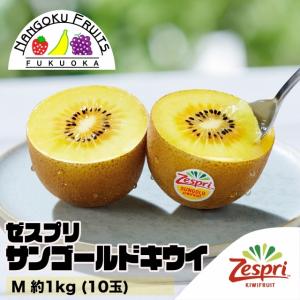 ニュージーランド産ゼスプリ・サンゴールドキウイ M約1kg(10玉)