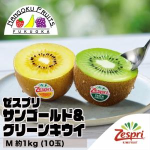 ニュージーランド産 キウイフルーツ ゼスプリ サンゴールド 中玉サイズ