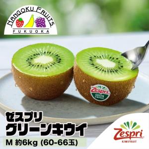 ニュージーランド産 ゼスプリ サンゴールドキウイ L 約3kg 25〜27玉