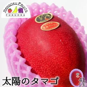 金槍固元湯（150g/30包）2個セット※固本培元湯（こもとばいげんたん