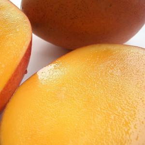 フルーツ 食品メキシコ産アップルマンゴー ドン ルイス 12 16玉 Man26 南国フルーツ果実村tokio