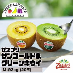 ニュージーランド産 ゼスプリ サンゴールドキウイ L 約3kg 25〜27玉