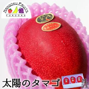 宮崎産完熟マンゴー・太陽のタマゴ2L3玉（父の日 ギフト 御祝い 御中元 贈り物 ）｜kajitsumura