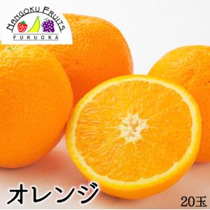 アメリカ／オーストラリア産オレンジ　20玉(1玉150g)