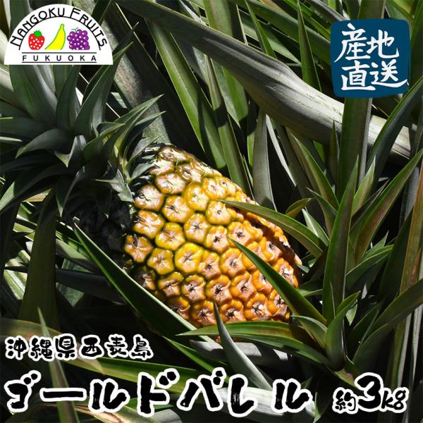 【予約販売】【産地直送】沖縄県　西表島産　ゴールドバレル(パイナップル)　約3kg