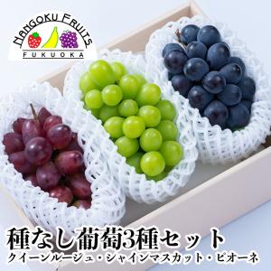 種なし葡萄3種セット　ギフト 果物 フルーツ 詰め合わせ シャインマスカット ピオーネ クイーンルージュ ぶどう ブドウ 贈り物 贈答 御礼 御祝 予約