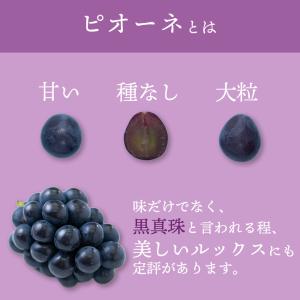 種なし葡萄3種セット ギフト 果物 フルーツ ...の詳細画像3