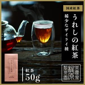 嬉野茶 うれしの紅茶（50ｇ） 日本茶 緑茶 煎茶 送料無料 茶葉 ポイント消化 お試し