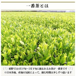 2026【嬉野茶 わかみどり(100g×3本)...の詳細画像1