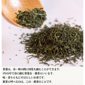2026【嬉野茶 わかみどり(100g×3本)...の詳細画像2