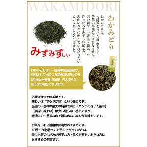 2026【嬉野茶 わかみどり(100g×3本)...の詳細画像3